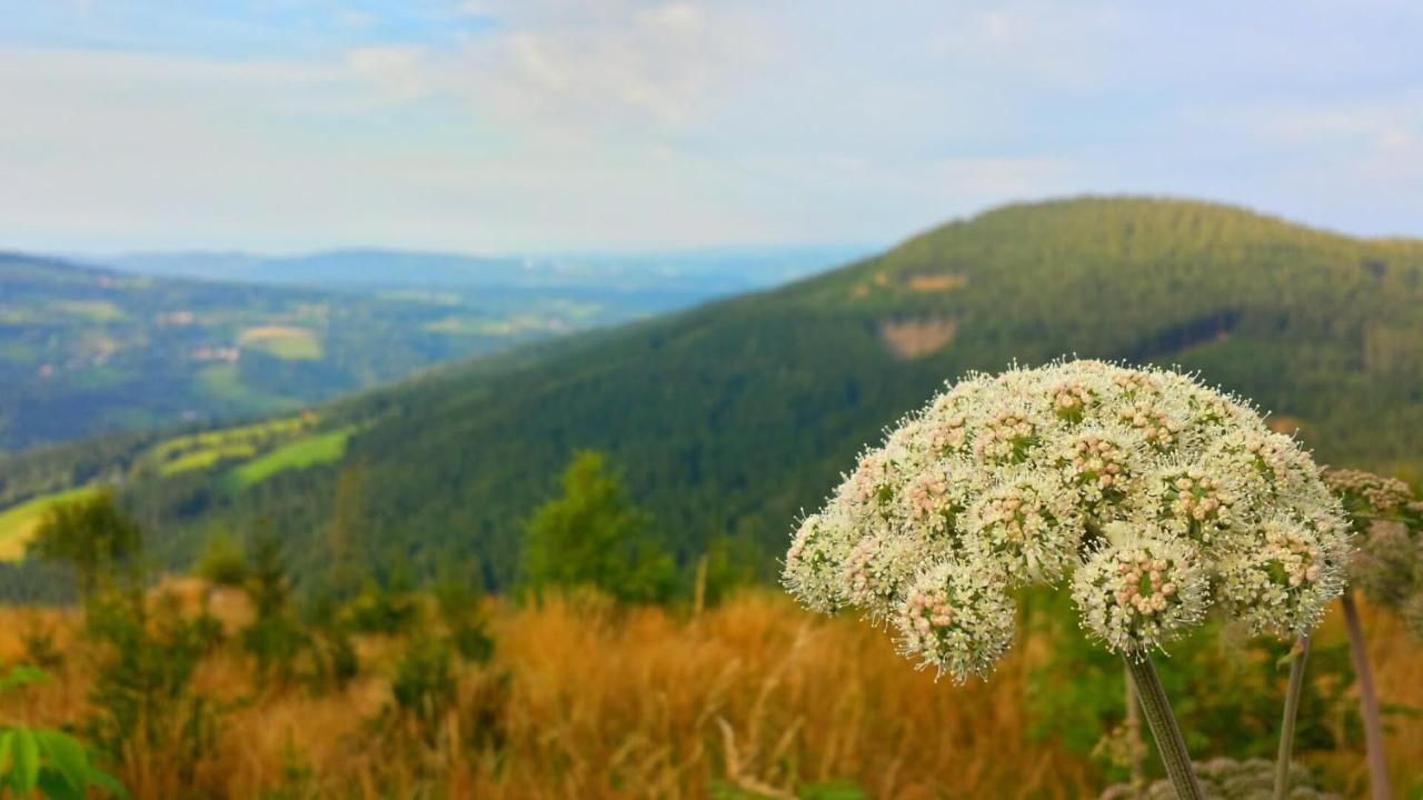 Wald-Panorama-Zimmer Bed and Breakfast Mönichkirchen Esterno foto